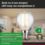 Transparante LED-lamp met warm wit licht en ultra-efficiënt energieverbruik tegen groene bosachtergrond