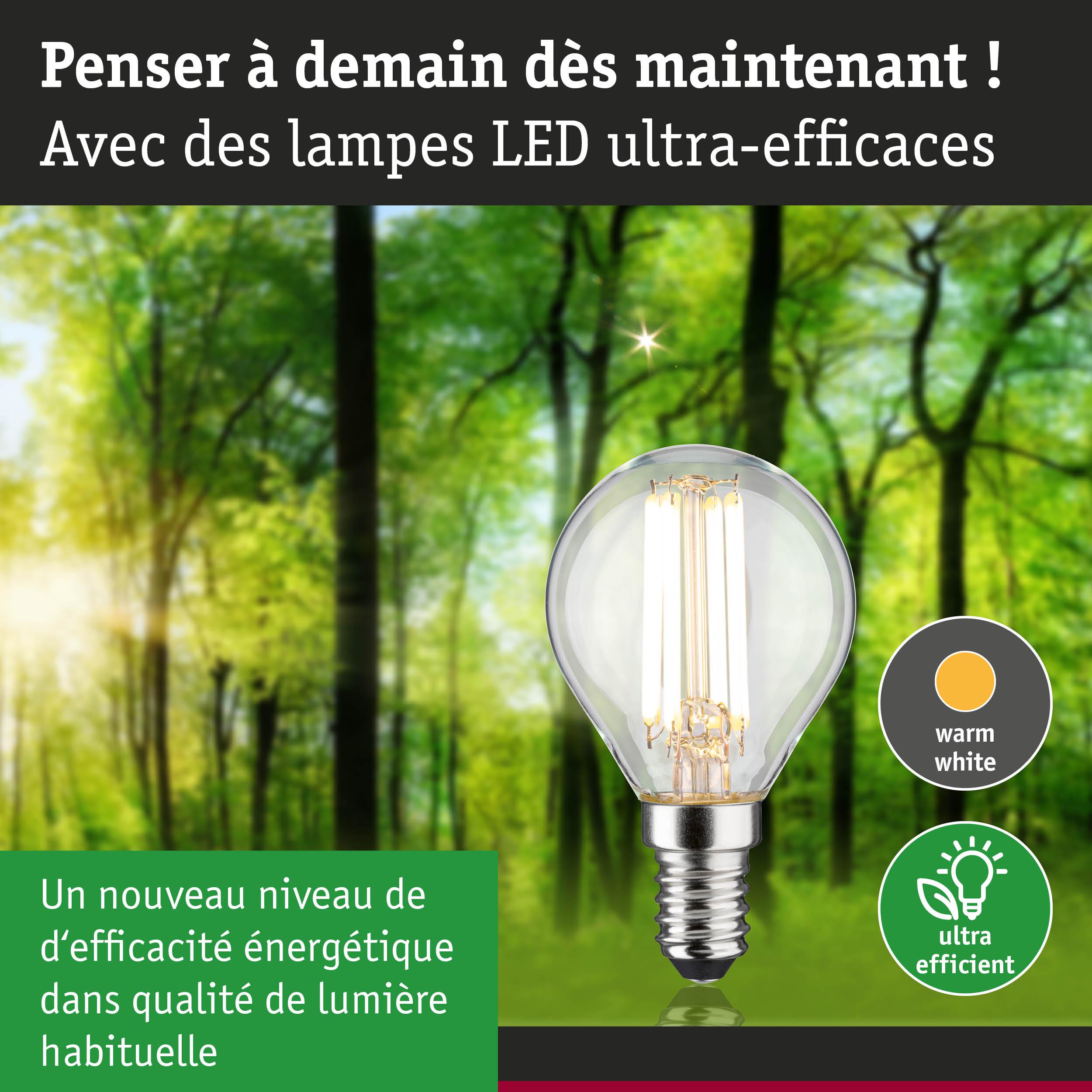 Ampoule LED à lumière blanc chaud et ultra-efficace sur fond de forêt verte