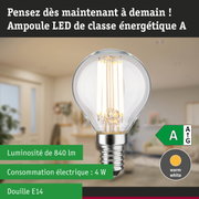 Ampoule LED lumière blanc chaud ultra efficace énergétiquement sur fond de forêt verte