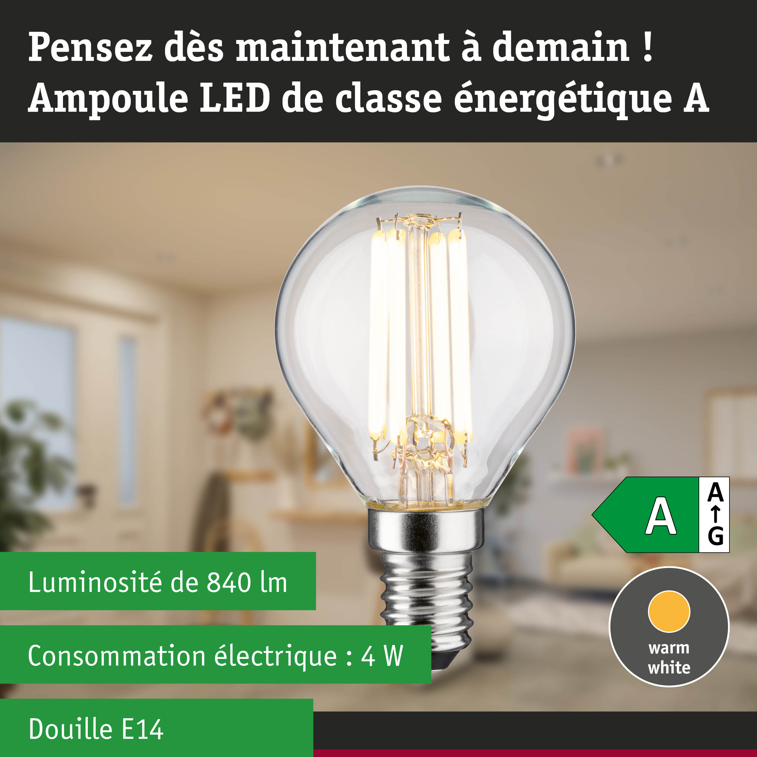 Ampoule LED lumière blanc chaud ultra efficace énergétiquement sur fond de forêt verte