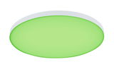 Round LED ceiling light with green diffuser and white frame for modern living spaces