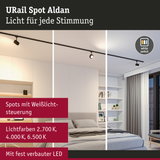 URail Spot Aldan schwarze LED-Schienenleuchte mit Weißlichtsteuerung für Wohnräume