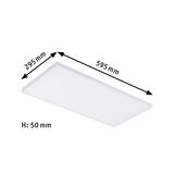 Rectangular white LED ceiling light made of plastic measuring 595x295x50 mm for living spaces