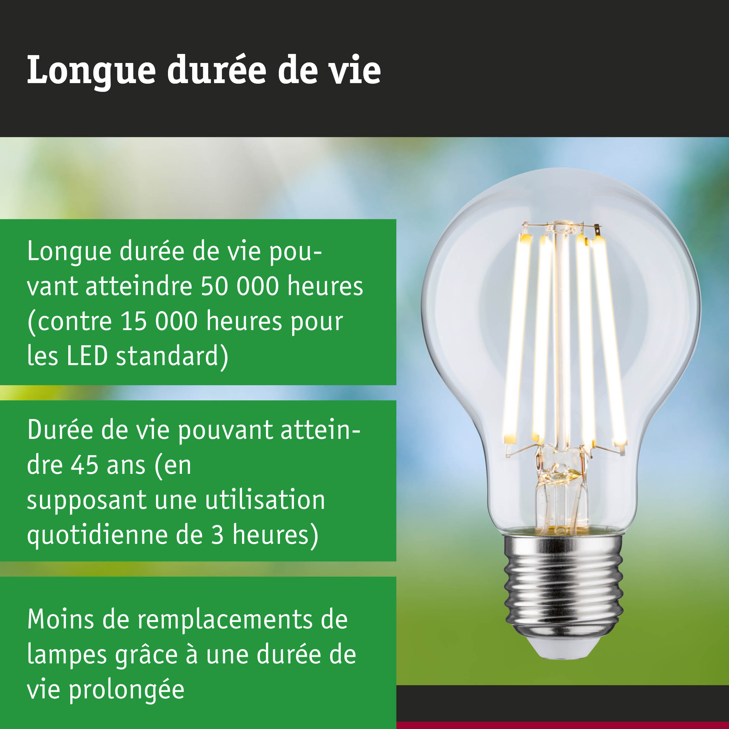 Ampoule LED à longue durée de vie tenue en main, éclairage durable et économique