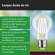 Ampoule LED à longue durée de vie tenue en main, éclairage durable et économique