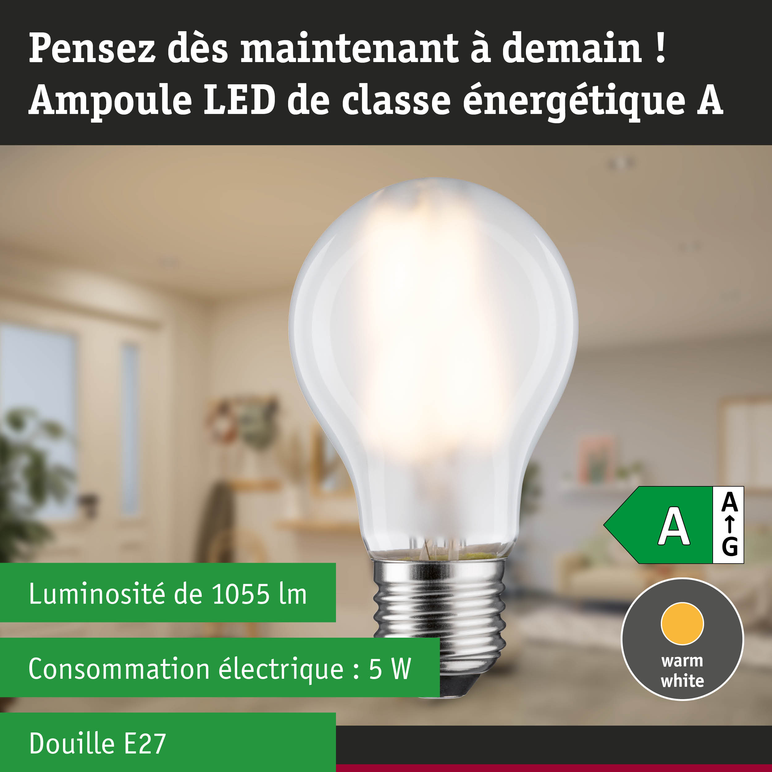 Ampoule LED économique avec lumière blanc chaud et haute efficacité pour un éclairage durable