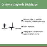 Contrôleur d’éclairage smart home noir avec télécommande pour variation et commutation faciles
