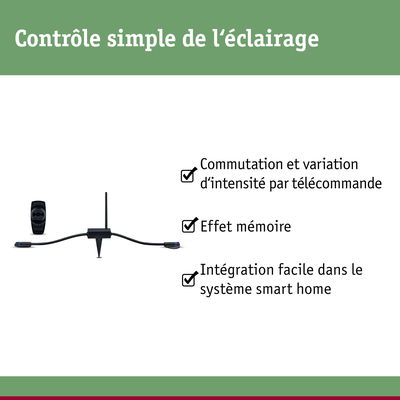 Contrôleur d’éclairage smart home noir avec télécommande pour variation et commutation faciles