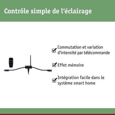 Contrôleur d’éclairage smart home noir avec télécommande pour variation et commutation faciles