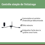 Contrôleur d'éclairage LED noir avec télécommande et piquet de terre pour contrôle simple