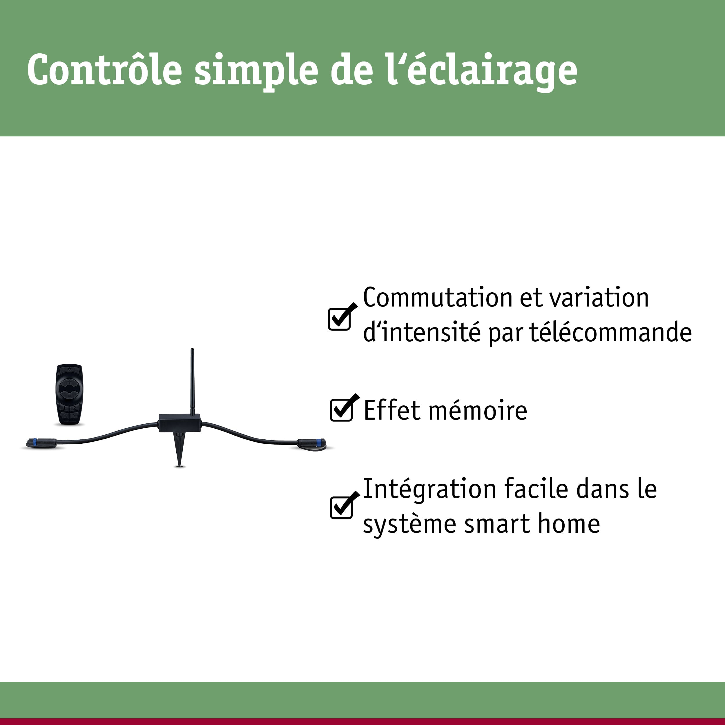 Contrôleur d'éclairage LED noir avec télécommande et piquet de terre pour contrôle simple