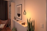 Modern living room with black metal pendant light casting warm glow on white wall with plants