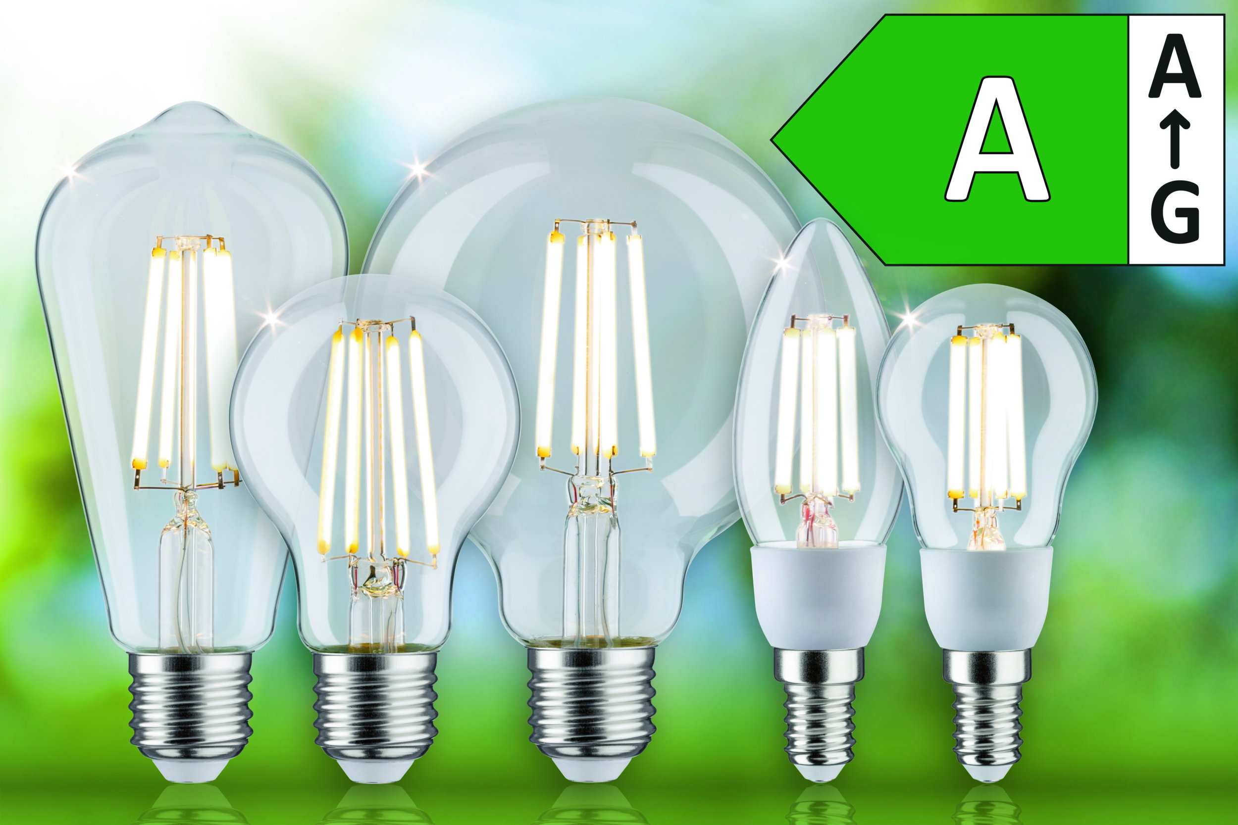 Verschiedene LED-Filamentlampen mit klaren Glaskolben und Energieeffizienzklasse A für nachhaltige Beleuchtung