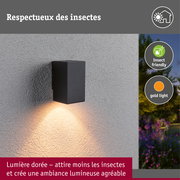 Applique LED Flame favorable aux insectes IP44 carré 58x103mm 2200K 4W 265lm 230V 75° Anthracite Métal