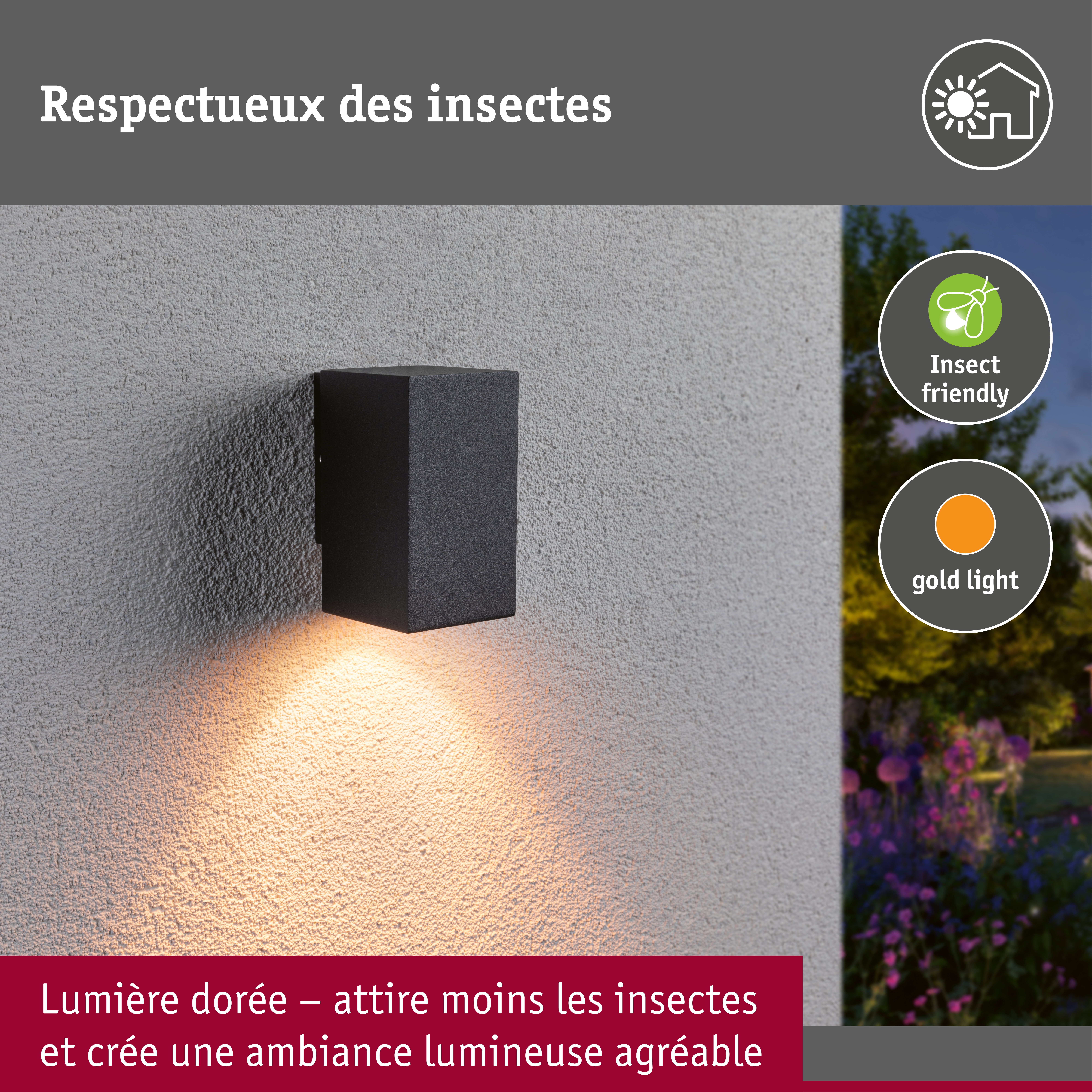 Applique LED Flame favorable aux insectes IP44 carré 58x103mm 2200K 4W 265lm 230V 75° Anthracite Métal