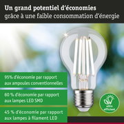 Ampoule LED économique à verre transparent et base métallique sur fond flou naturel