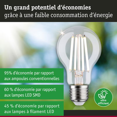 Ampoule LED à verre transparent et base métallique montrant un grand potentiel d'économie d'énergie