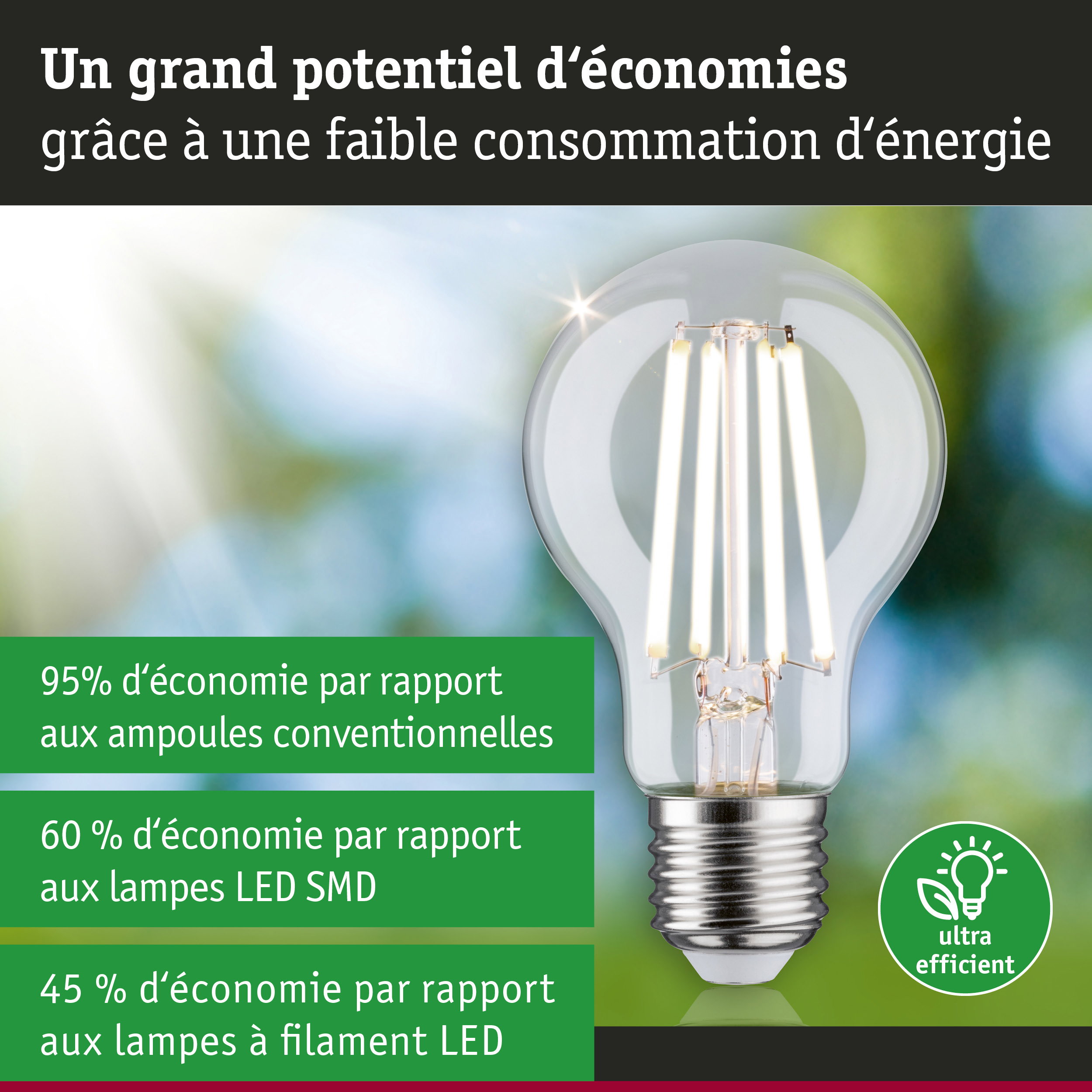 Ampoule LED économique à verre transparent et base métallique sur fond flou naturel