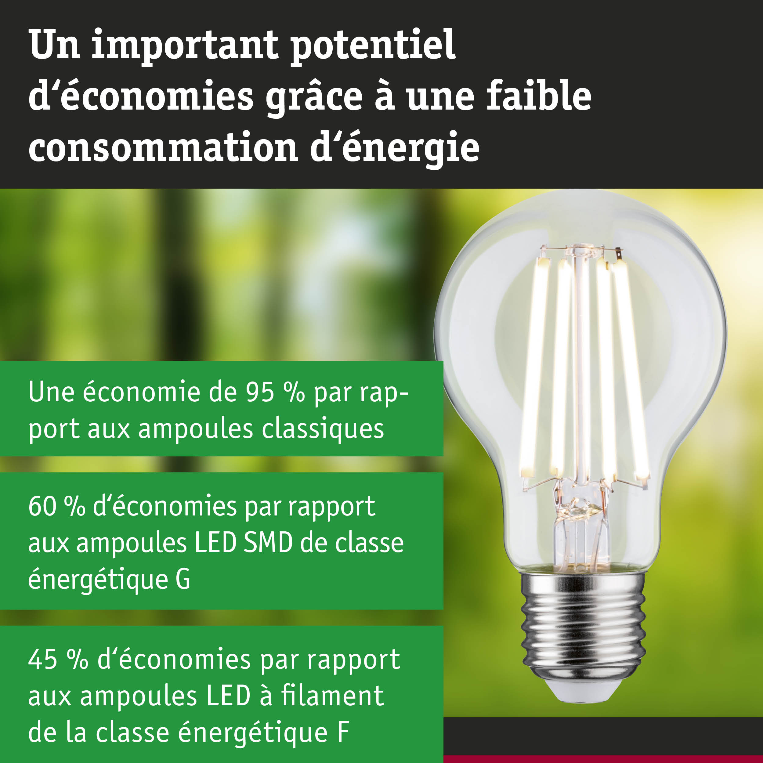 Ampoule LED économique à verre transparent et base métallique sur fond flou naturel