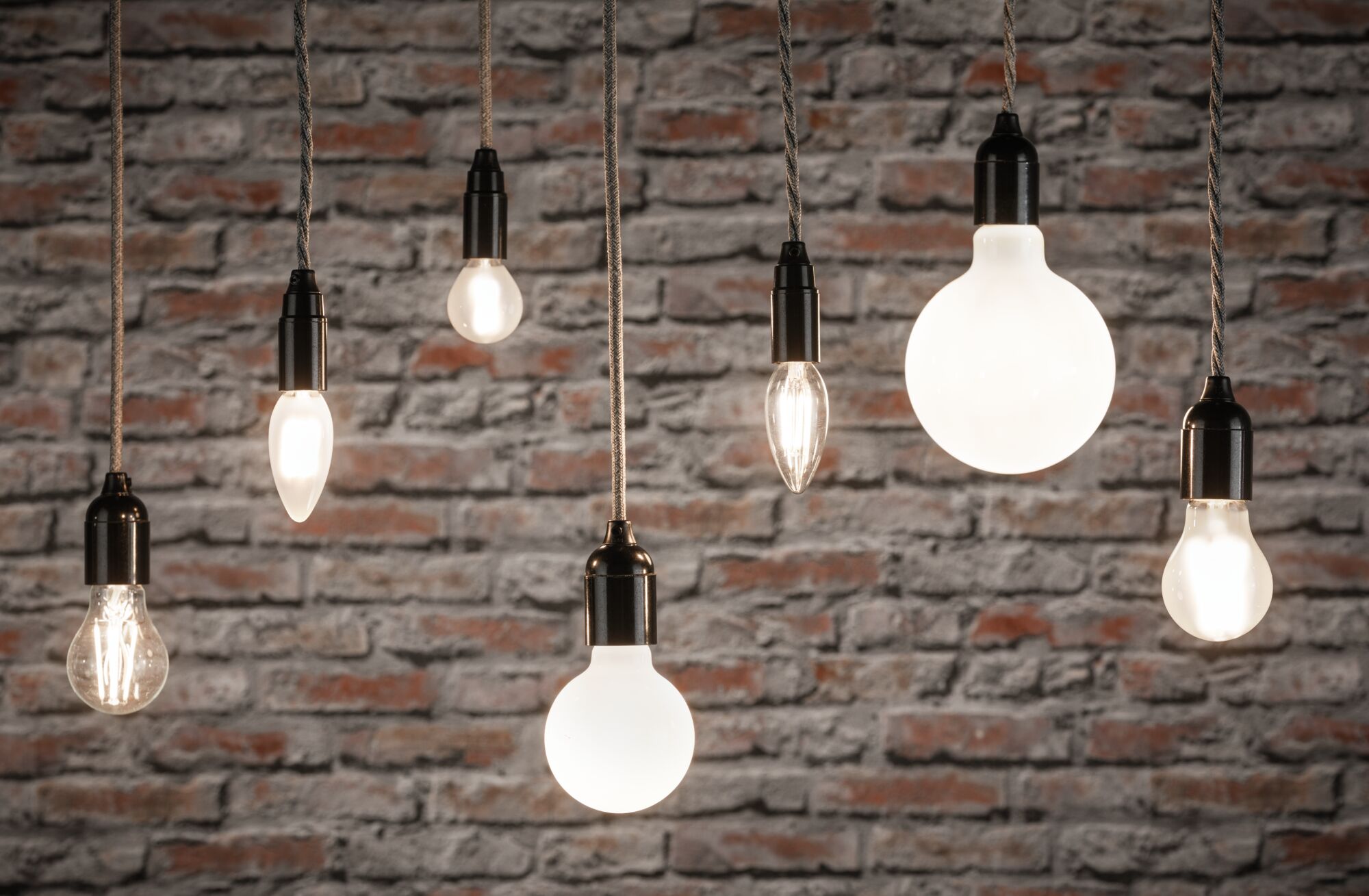 Various filament light bulbs with black sockets hanging in front of grey stone wall for decorative lighting