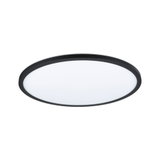 Round ceiling light with black metal frame and white diffuser for modern room lighting