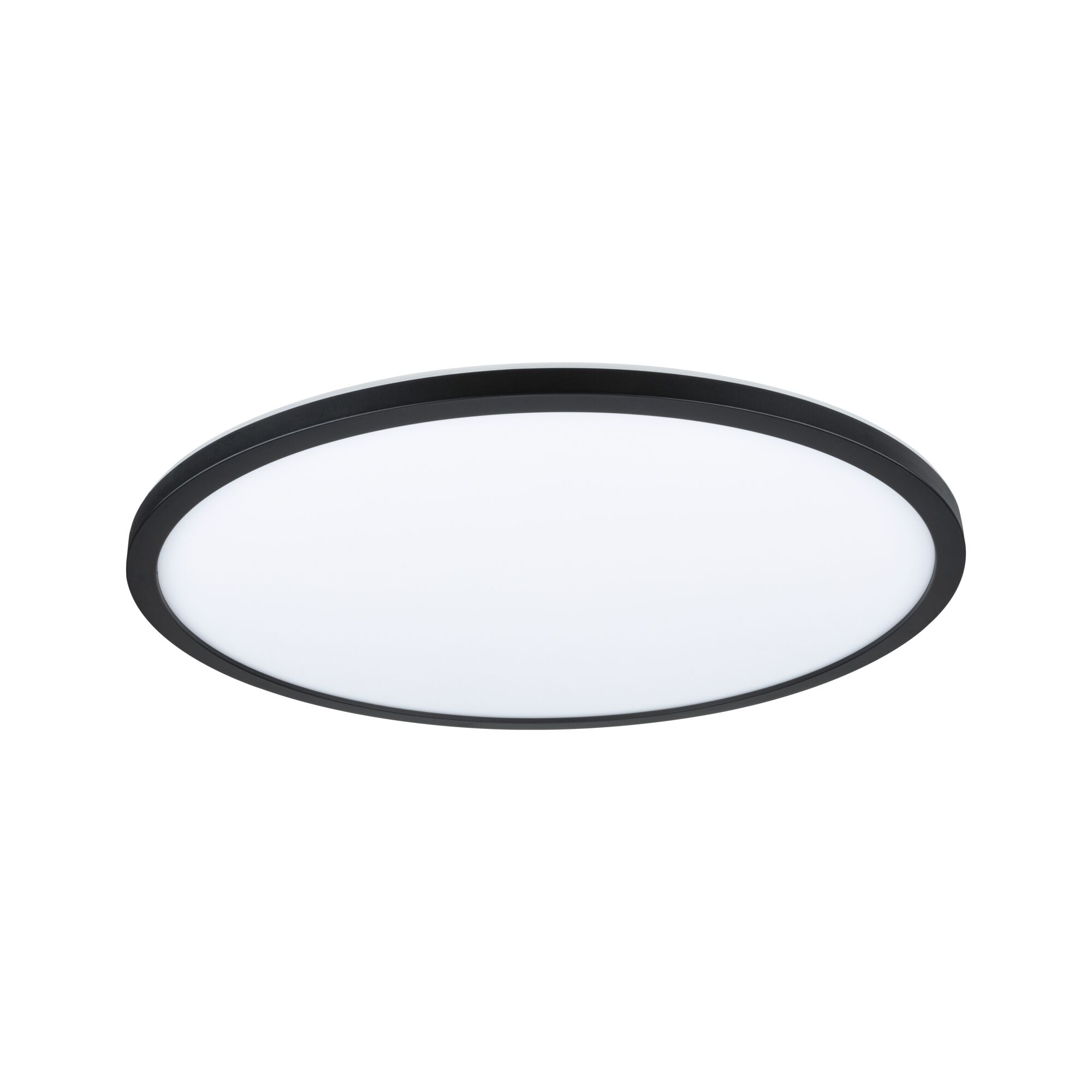 Round ceiling light with black metal frame and white diffuser for modern room lighting