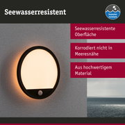 Runde Außenwandleuchte mit schwarzem Rahmen und seewasserresistenter Oberfläche an grauer Wand