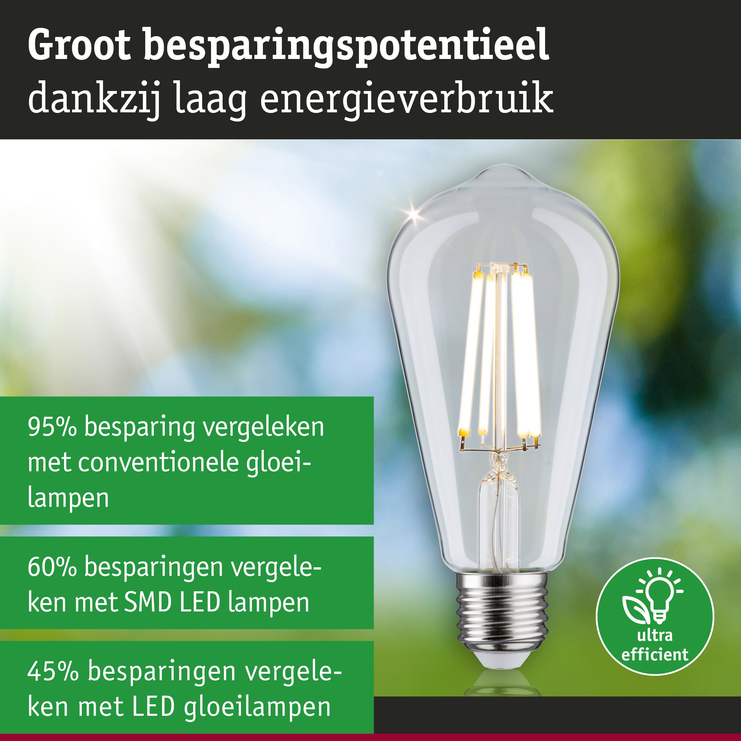 Energiezuinige LED-lamp met helder glas en zilveren fitting voor duurzame verlichting