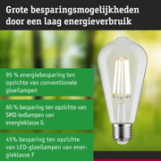 Energiezuinige LED-lamp met helder glas en zilveren fitting voor duurzame verlichting
