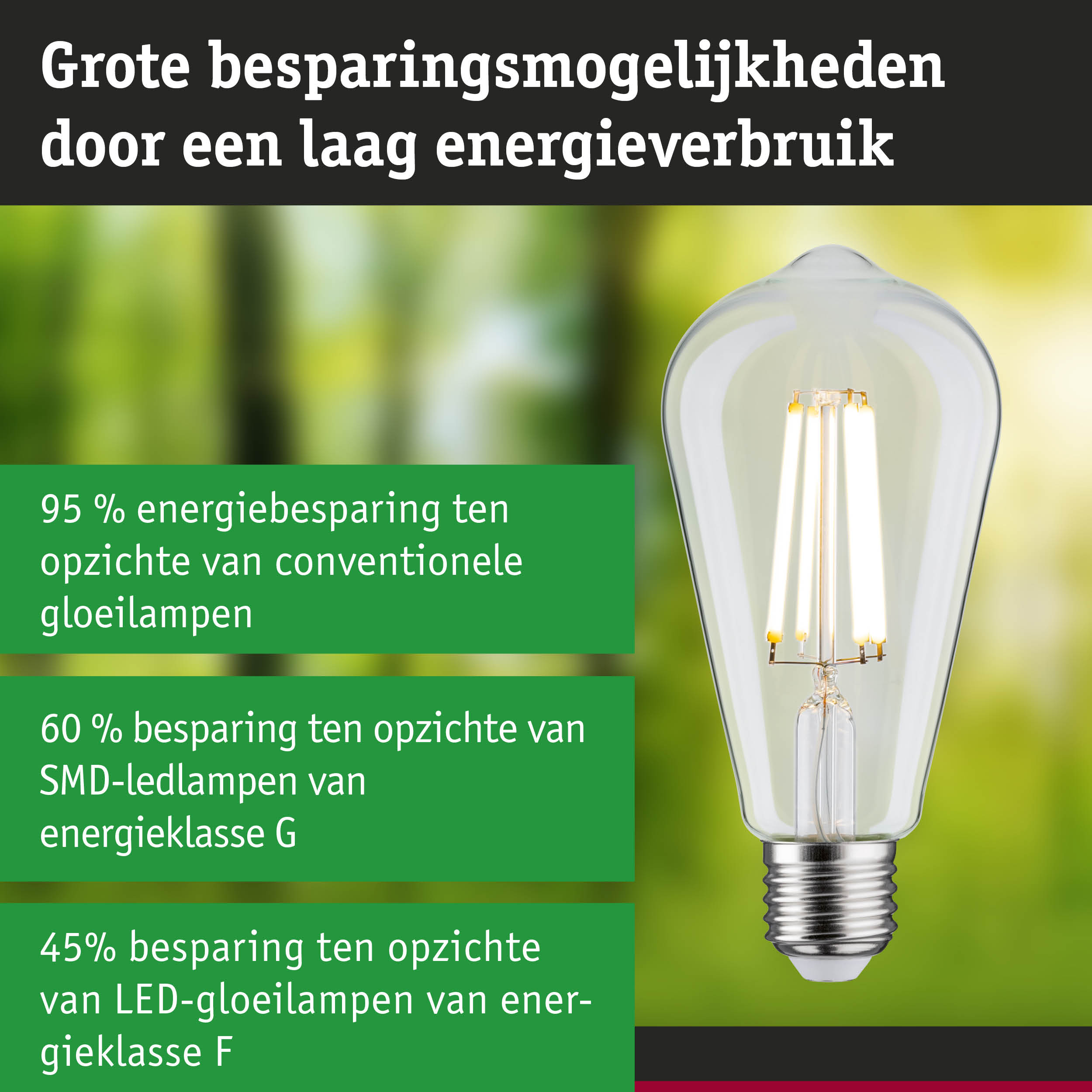 Energiezuinige LED-lamp met helder glas en zilveren fitting voor duurzame verlichting
