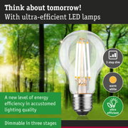 Clear LED bulb with warm white light and 3-step dimming for energy-efficient lighting solutions