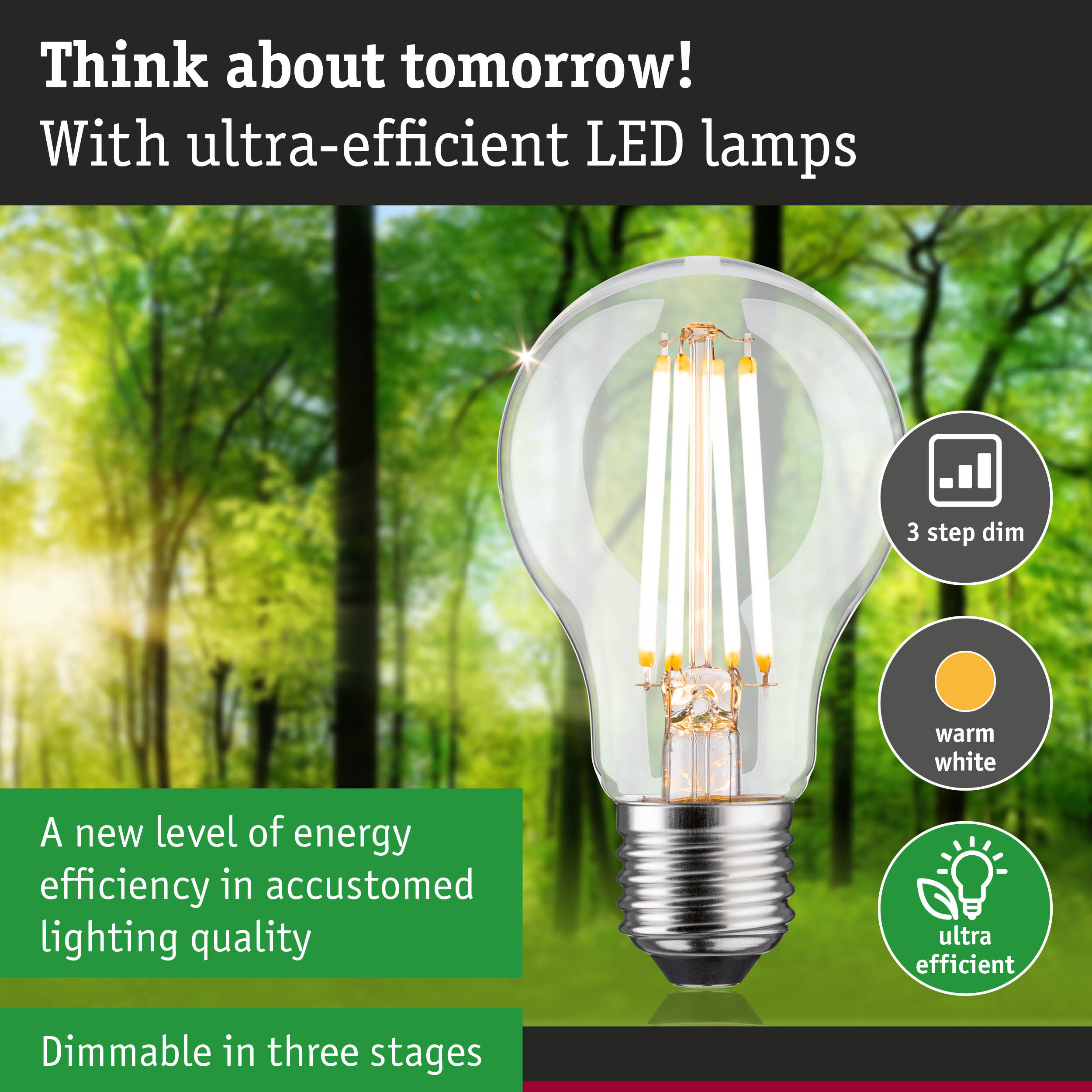 Clear LED bulb with warm white light and 3-step dimming for energy-efficient lighting solutions