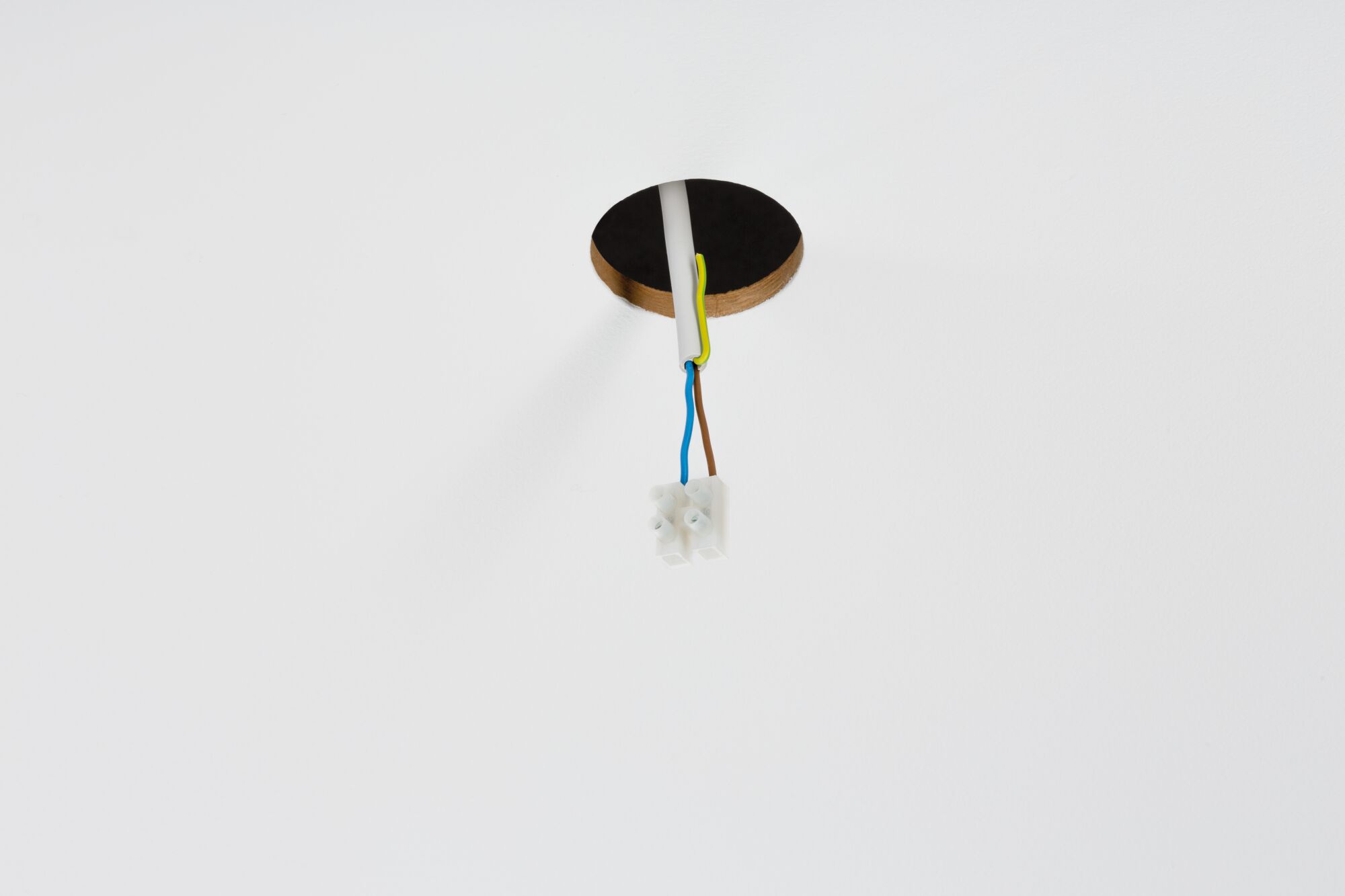 Electrical connection cables with plastic terminal block in white ceiling opening for lighting setup.