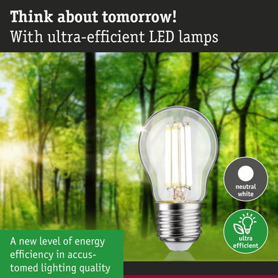 Ultra-efficient LED lamp with neutral white light shown against a green forest background