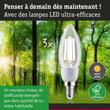 Ampoule LED en forme de bougie avec lumière blanc chaud et haute efficacité énergétique sur fond de forêt
