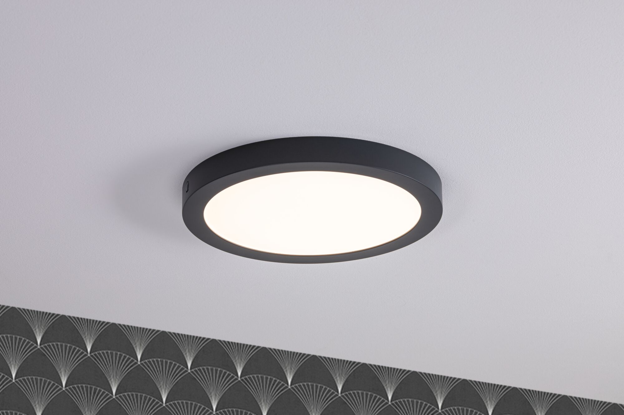 Runde LED-Deckenleuchte mit schwarzem Metallrahmen und warmweißem Licht für moderne Innenräume