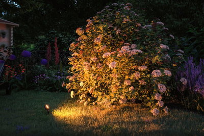 Gartenstrauch mit weißen Blüten bei Nacht, beleuchtet von warmweißem LED-Gartenstrahler auf Rasen.