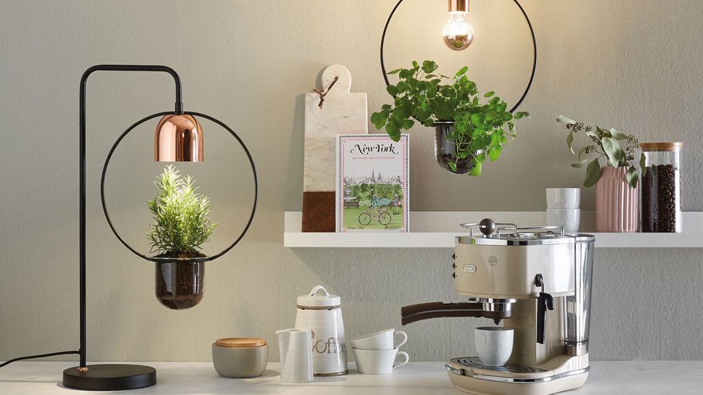 Modern plant lights with black metal frame and copper lamp in stylish kitchen setting.