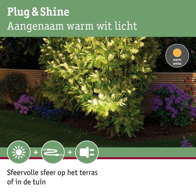 Tuin met warm wit licht op groene en paarse planten voor sfeervolle buitenverlichting