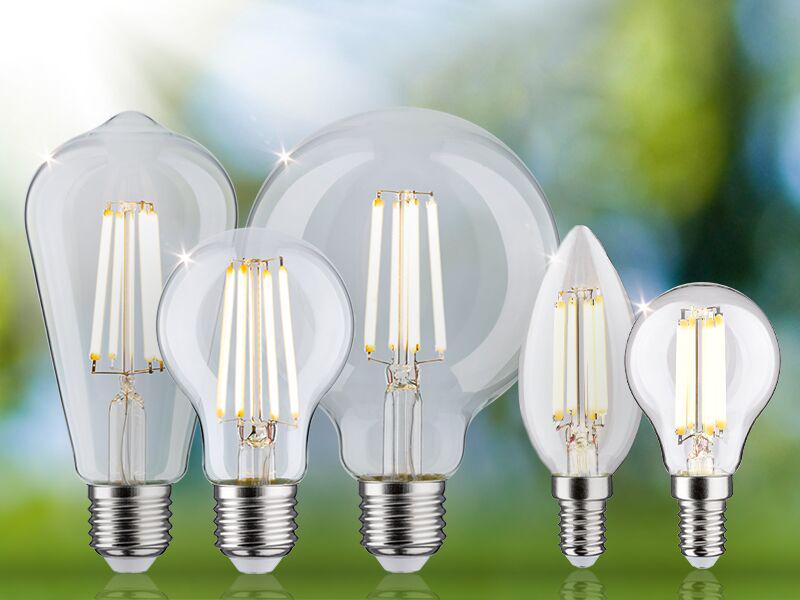 Différents ampoules LED filament transparentes de formes et tailles variées pour un éclairage économique.