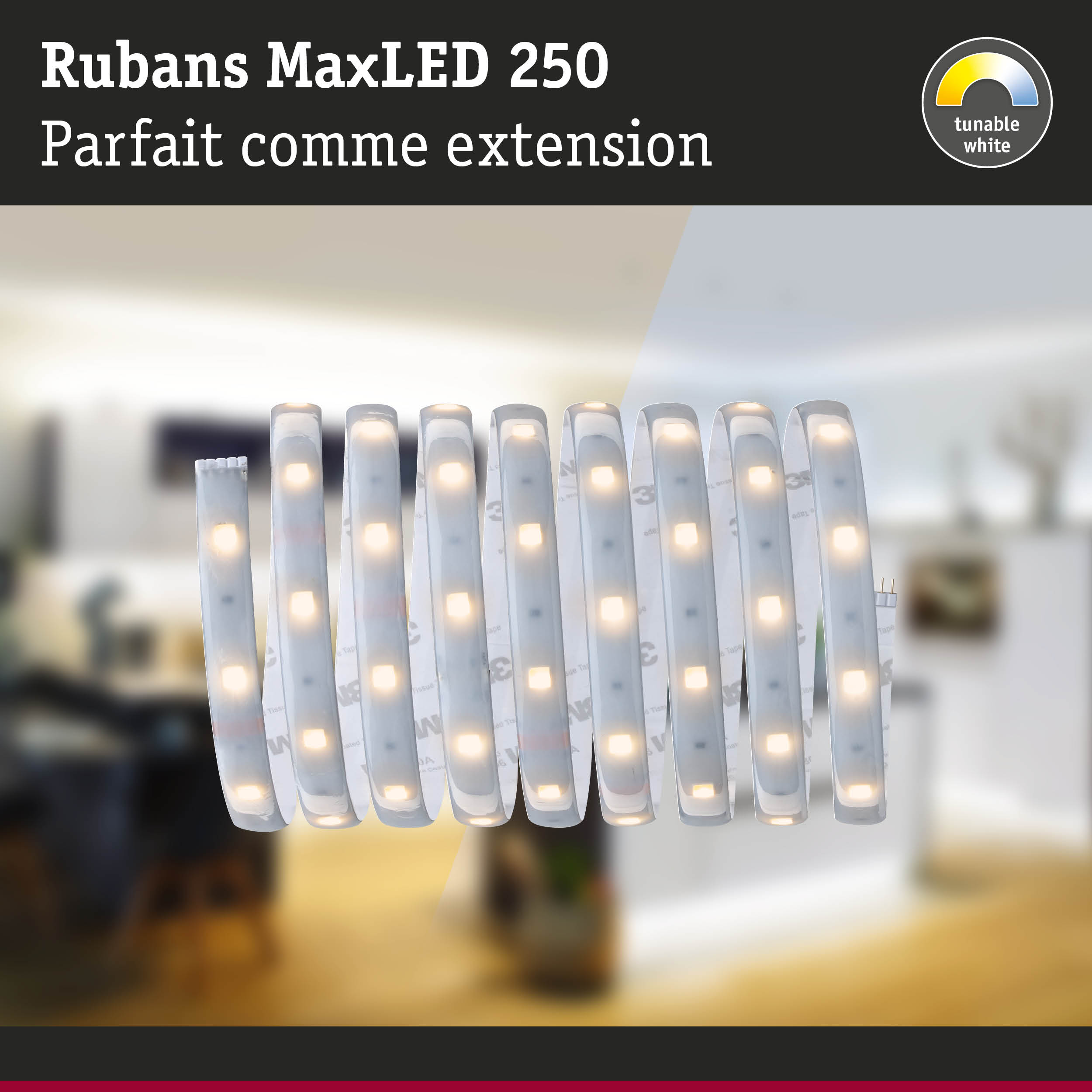 Bande LED flexible MaxLED 250 avec lumière blanche réglable pour éclairage intérieur moderne