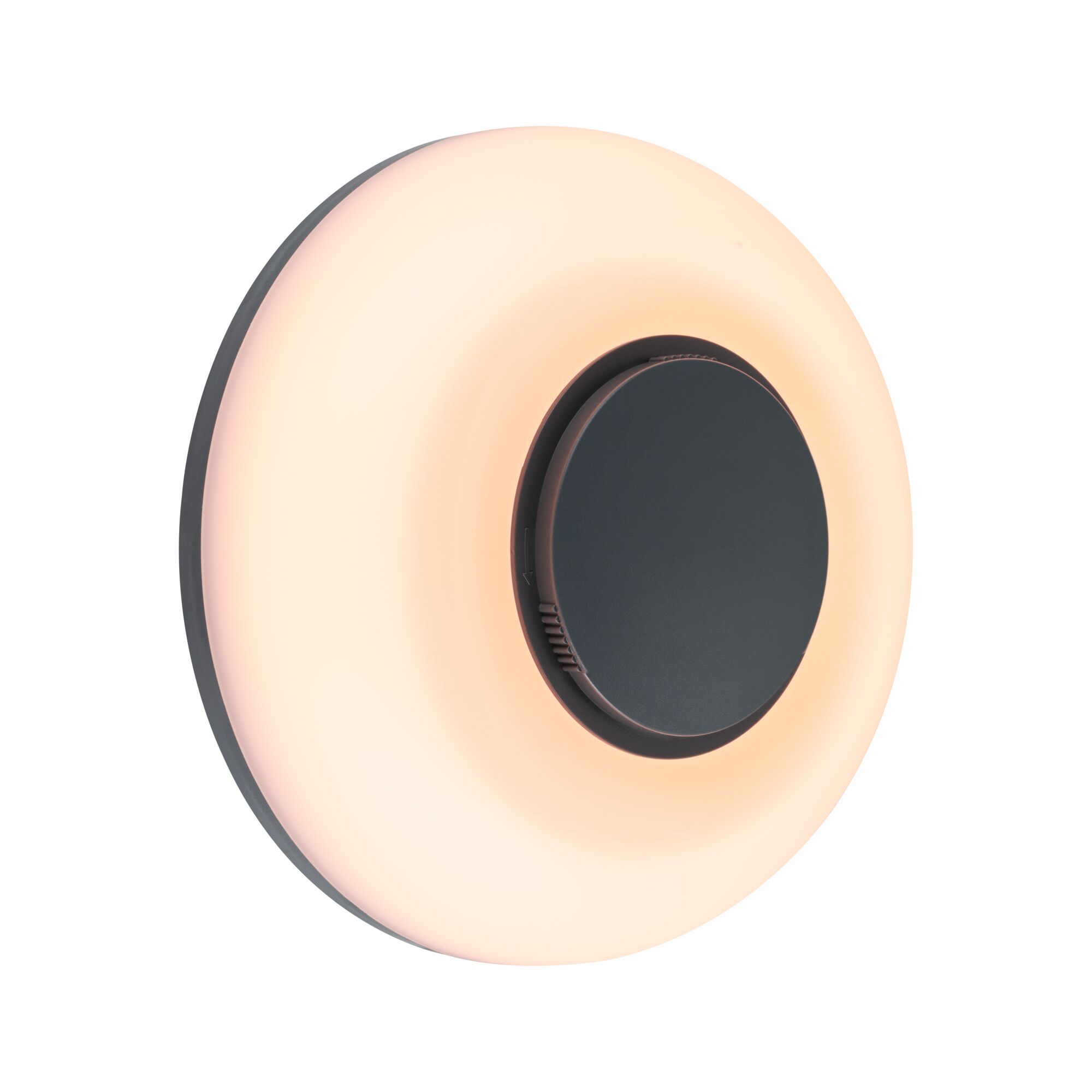 Applique d'extérieur LED Aureva IP65 rond 220mm 2200 - 4000K 20,5W 1730lm 230V Anthracite/Blanc Polycarbonate