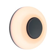 Applique d'extérieur LED Aureva IP65 rond 220mm 2200 - 4000K 20,5W 1730lm 230V Anthracite/Blanc Polycarbonate