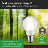 Energiezuinige LED-lamp met warm wit licht en ultra-efficiëntie voor bosachtergrond