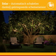 Tuin met solar lichtsnoeren aan boom en comfortabele tuinmeubels in de avond