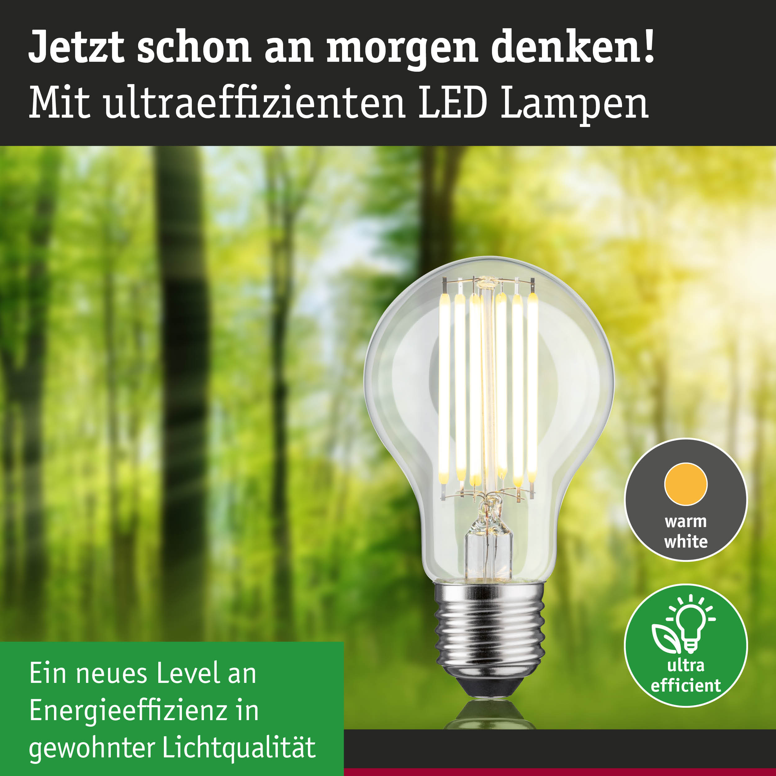 LED-Lampe mit warmweißem Licht und hoher Energieeffizienz vor grünem Waldhintergrund
