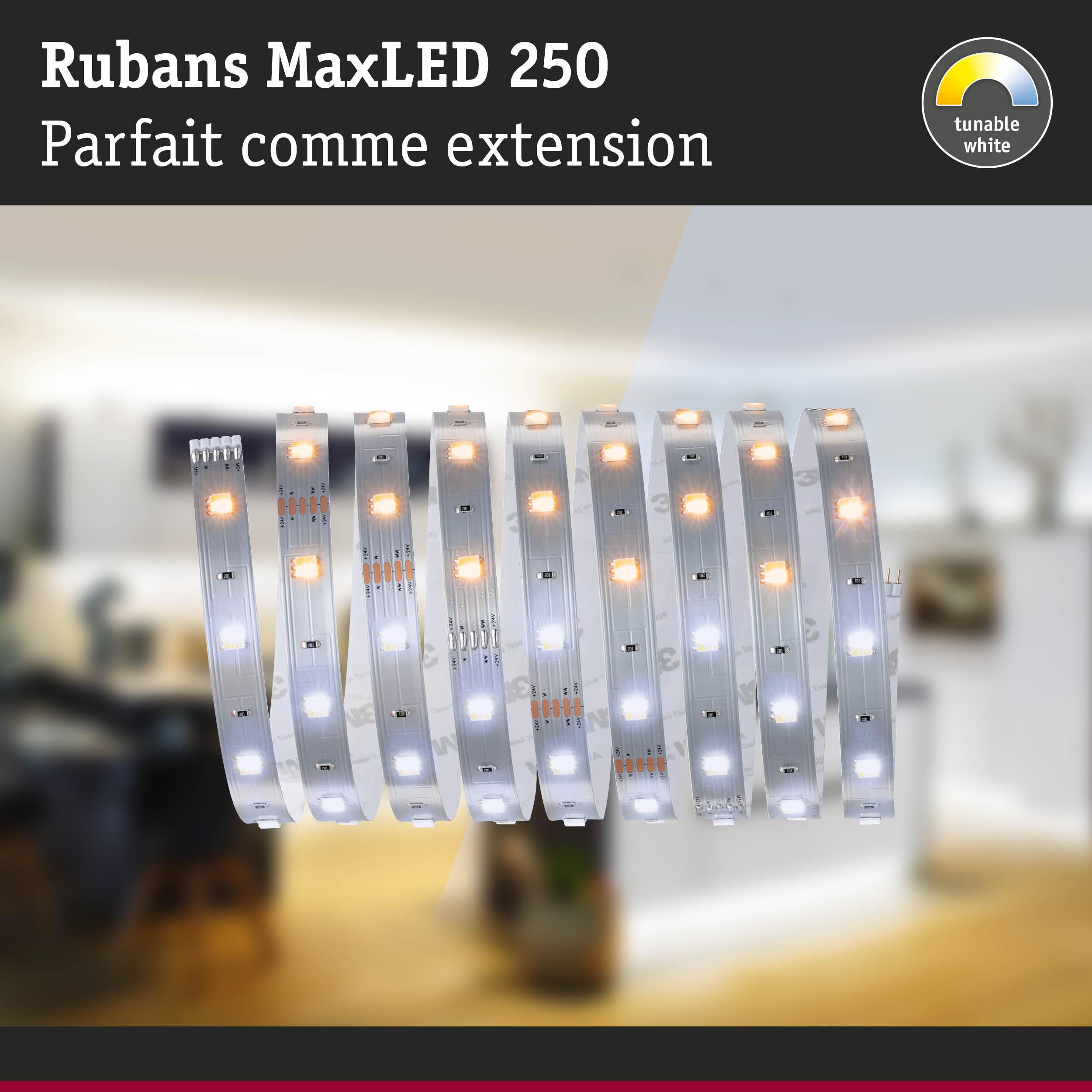 Rubans MaxLED 250 bande LED avec lumière blanche réglable, extension parfaite pour l’éclairage intérieur