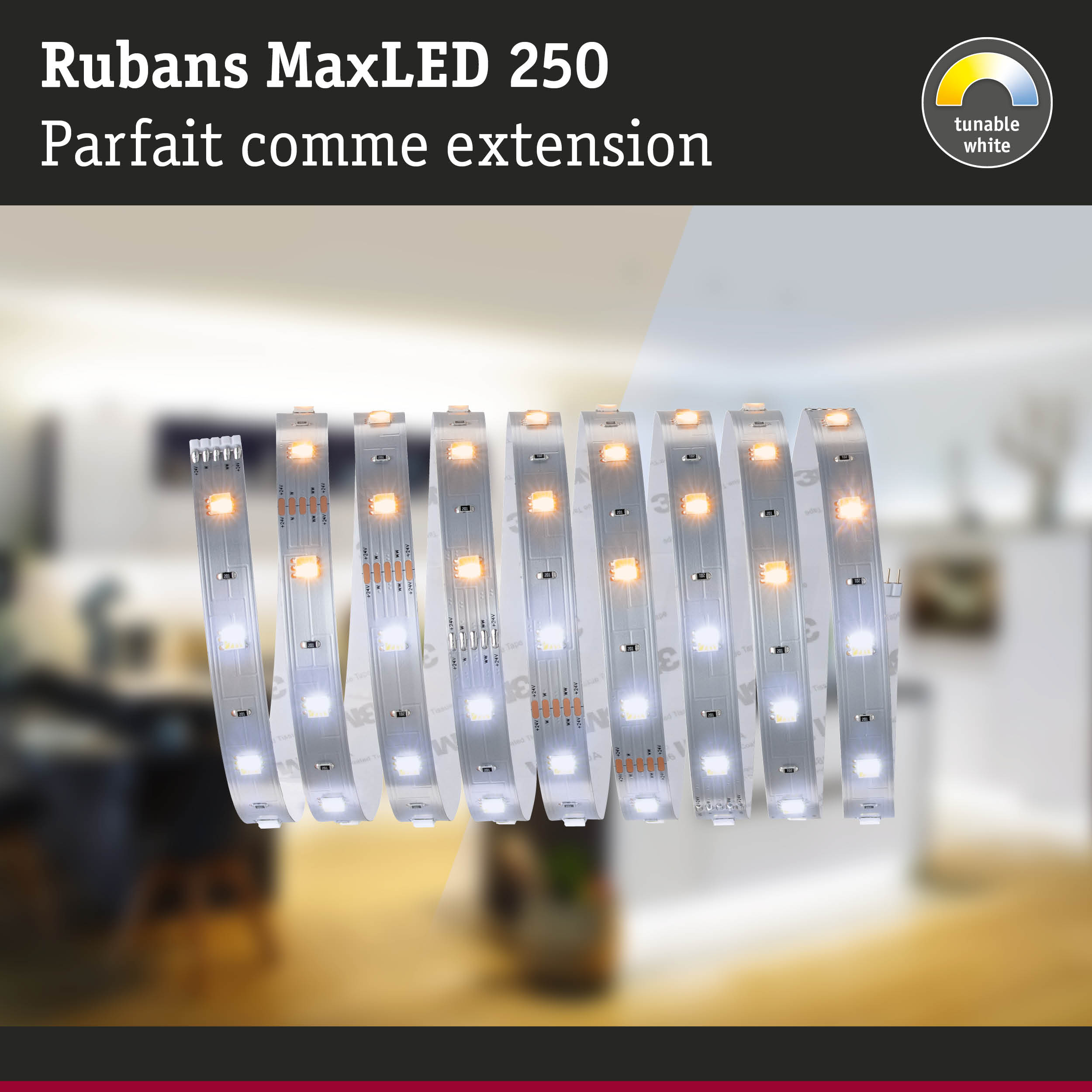 Rubans MaxLED 250 bande LED avec lumière blanche réglable pour extension d'éclairage flexible