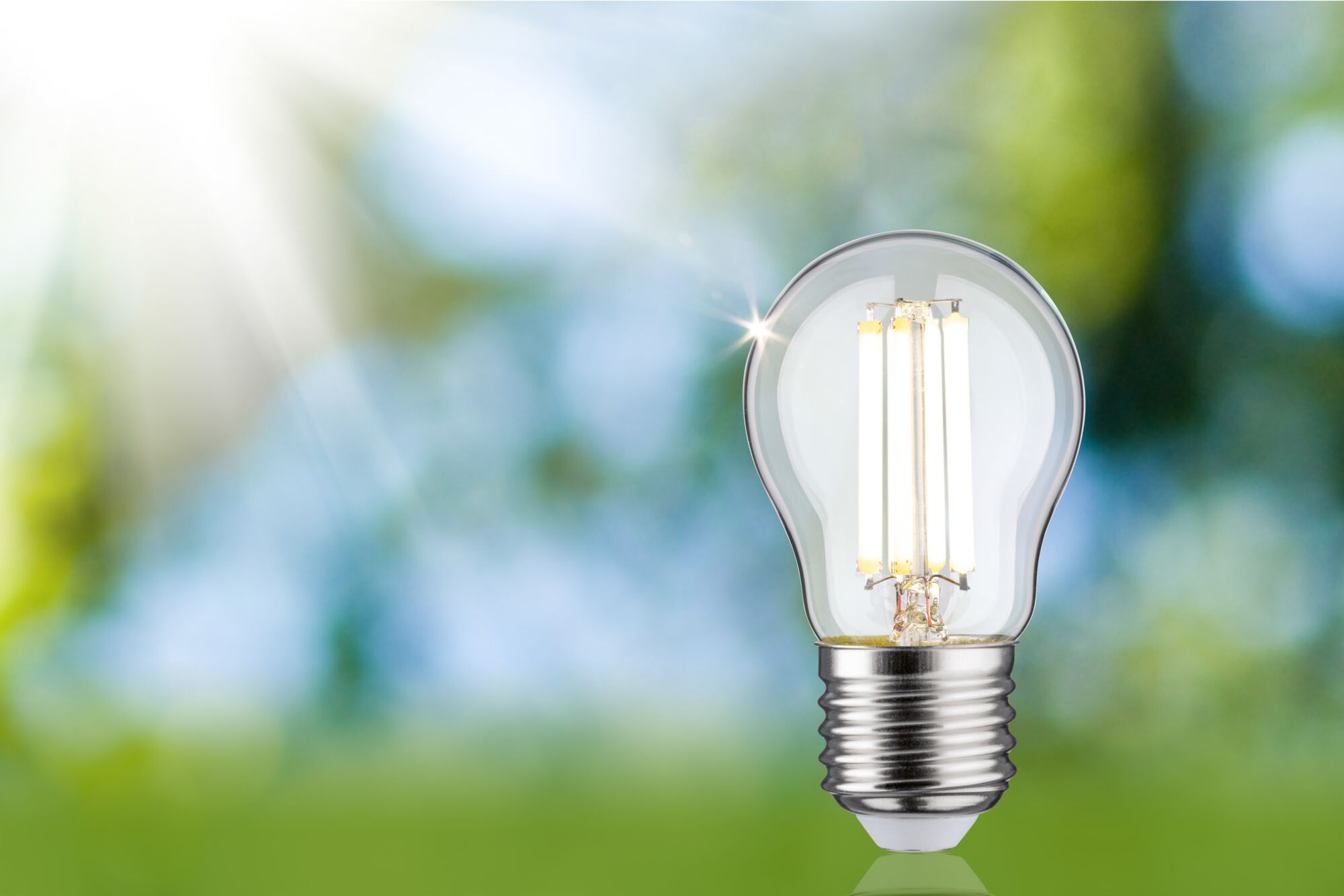 LED-pære med klart glas og sølvbase mod grøn-blå baggrund til energibesparende belysning