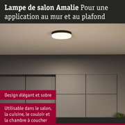 Lampe de plafond Amalie avec cadre noir et diffuseur blanc pour salon et couloir